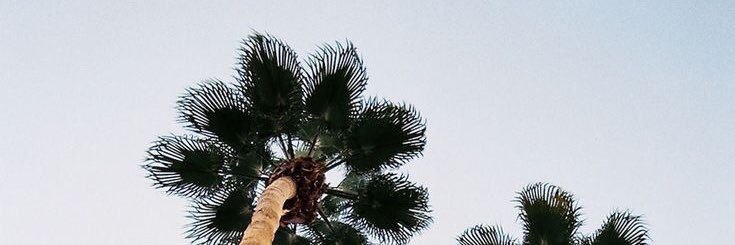 stephmartinez's profile banner image