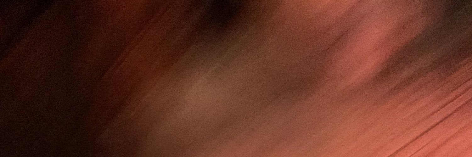 amy from the internet banner