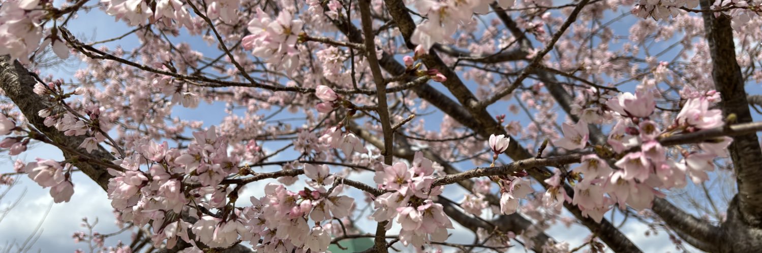 maru_tobyo's profile banner image