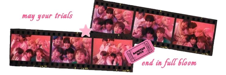 arirang truther banner
