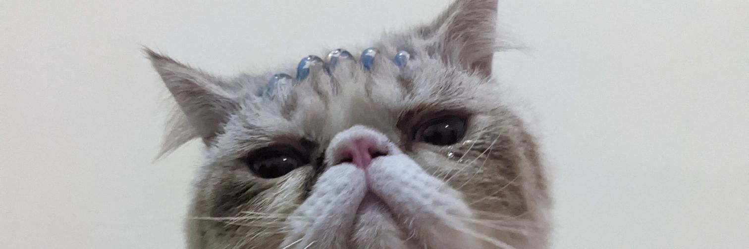 muhammadtio_'s profile banner image