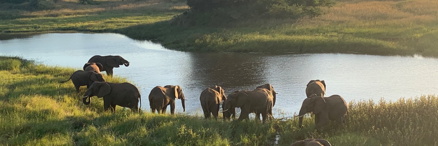 James N. Robinson banner
