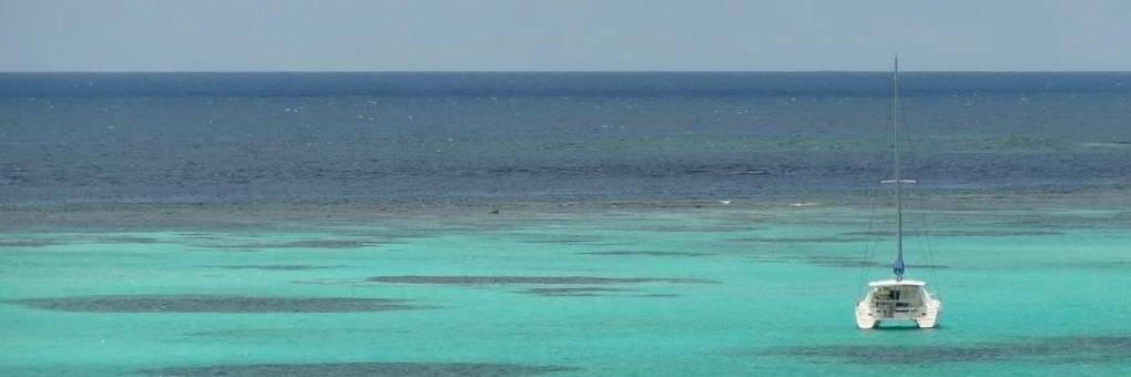 Stephanie Pic banner