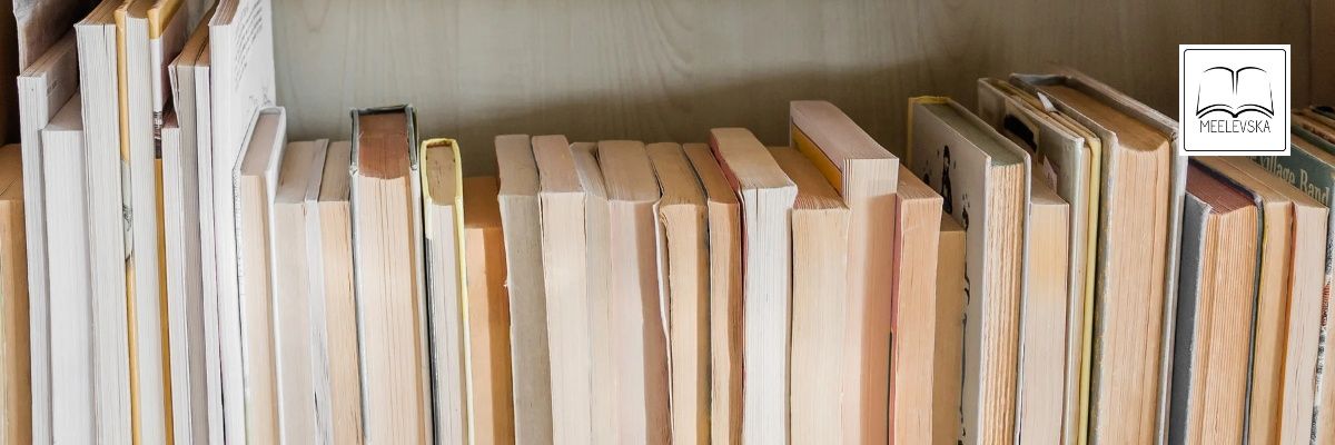 Brygida Milewska - Writer's banner