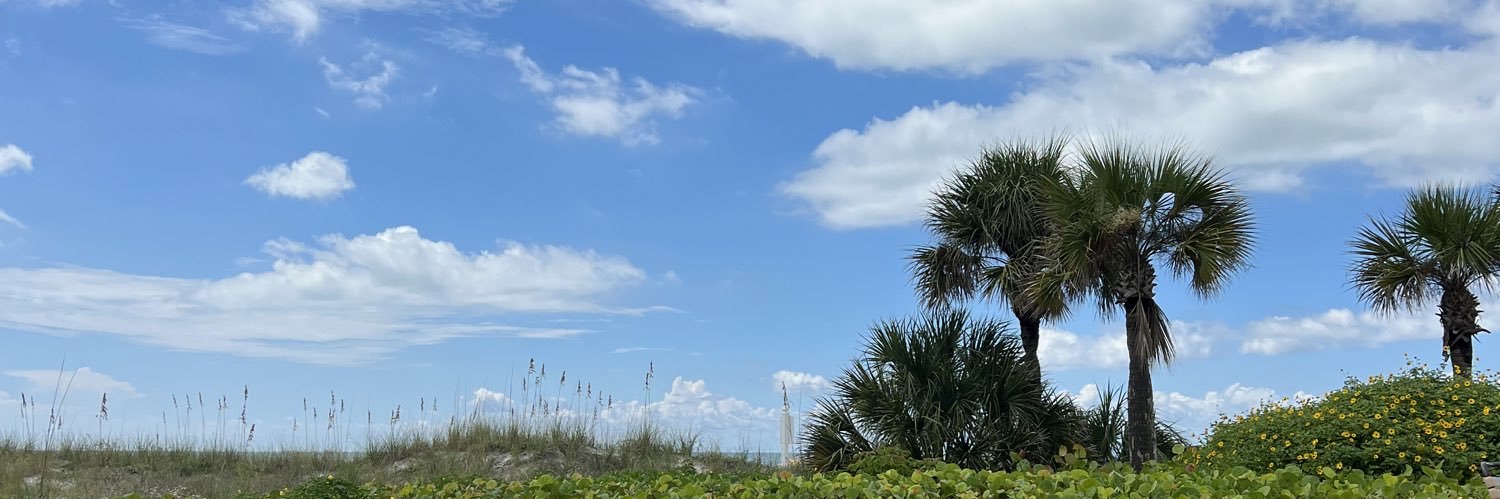 gracecjohnson00's profile banner image