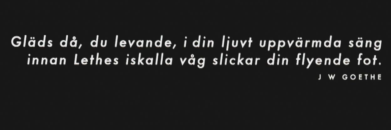 santy's banner