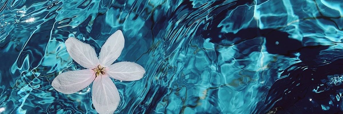 sofii_arenas_'s profile banner image