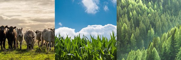 RemediaRed Profile Banner