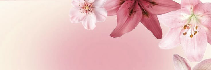 d28rn's profile banner image