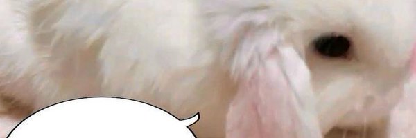 fritteredapples Profile Banner