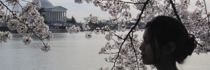 Bertine L. Moenaff banner