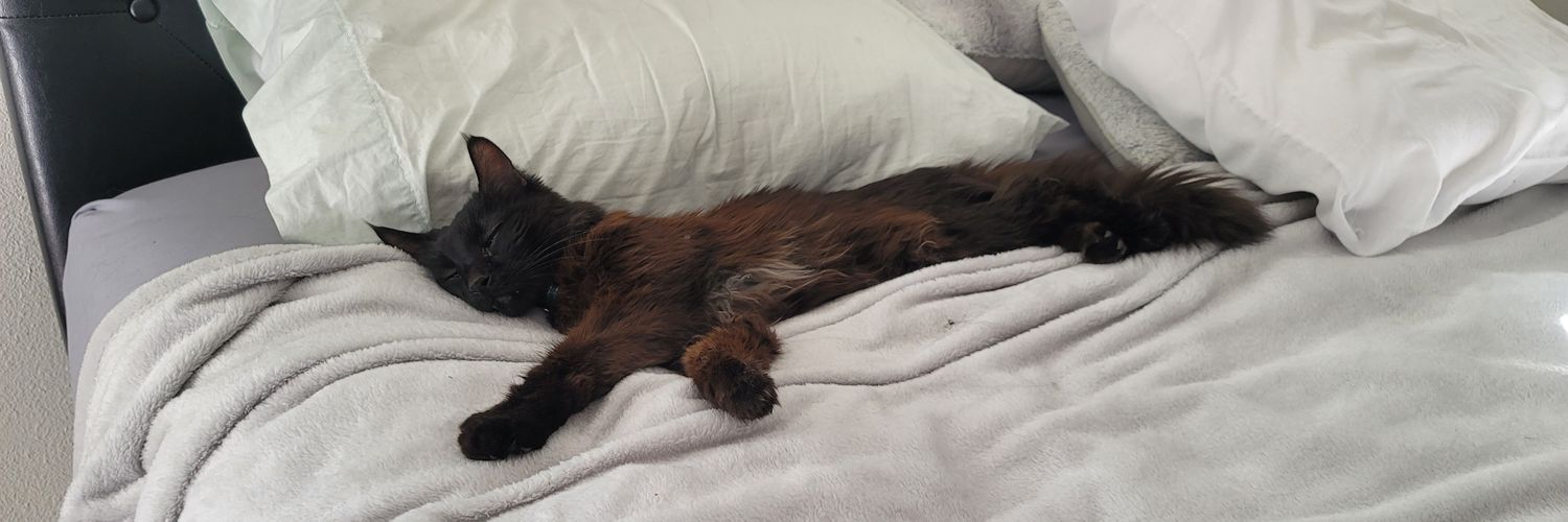 JenniferCatpurr's profile banner image
