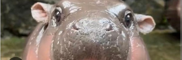 sirgary64 Profile Banner