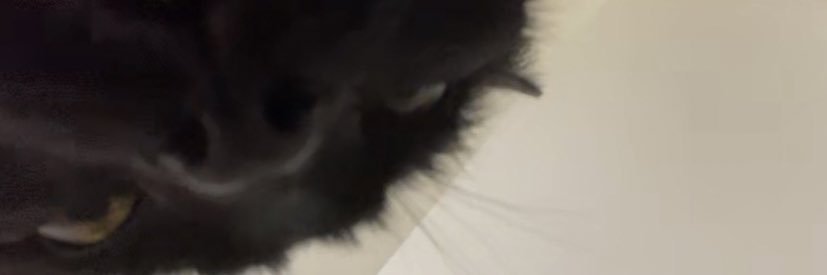 mdmaporter's profile banner image