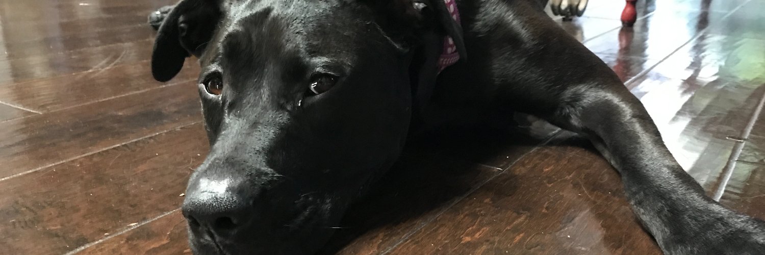 JonMMyers's profile banner image