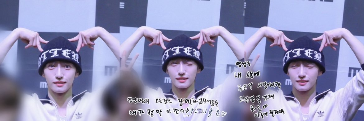 영영. banner