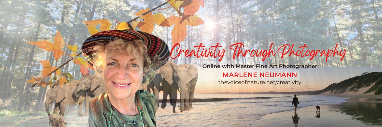 Marlene Neumann banner