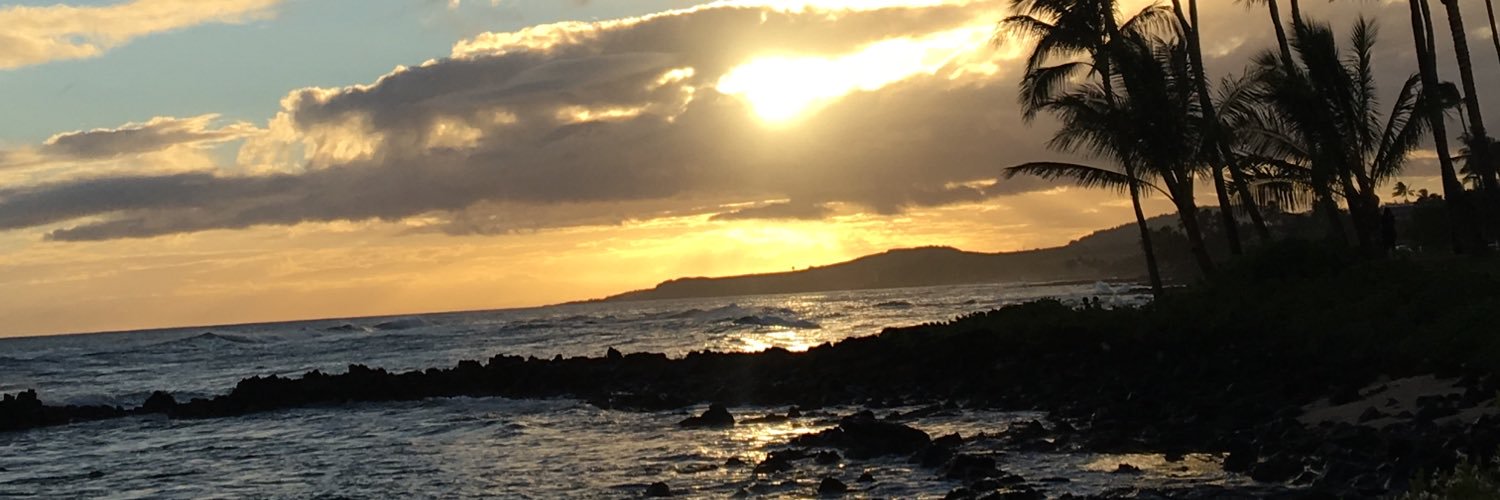 laursantarelli's profile banner image