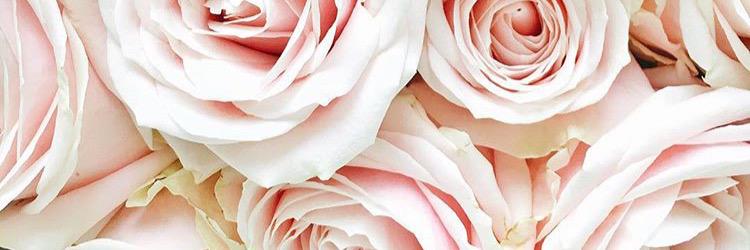 Hannah_Stammers's profile banner image