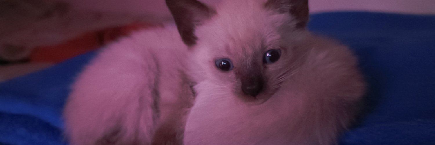 wirames_'s profile banner image