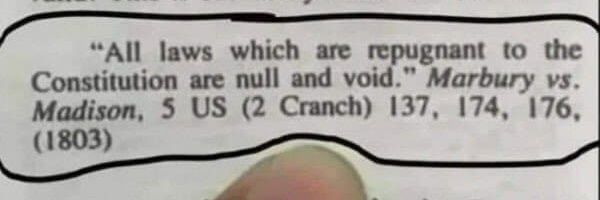 Hannah Williams banner