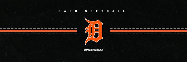 dekalbsoftball Profile Banner