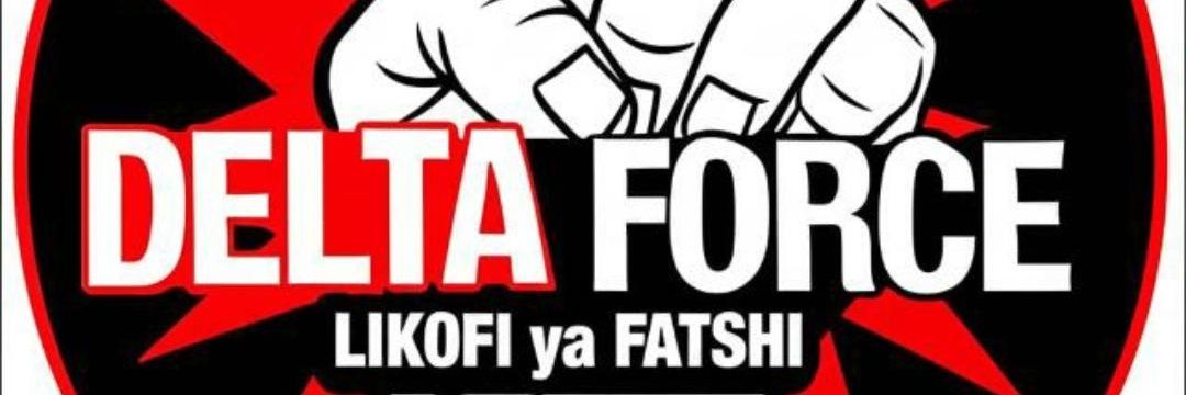 Lelo Sami banner