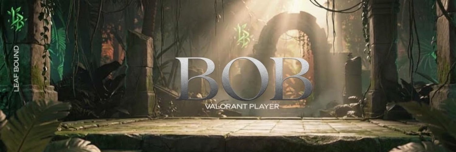 BobOnSage's profile banner image