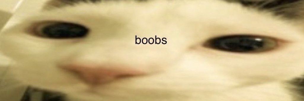 pupcamille's profile banner image