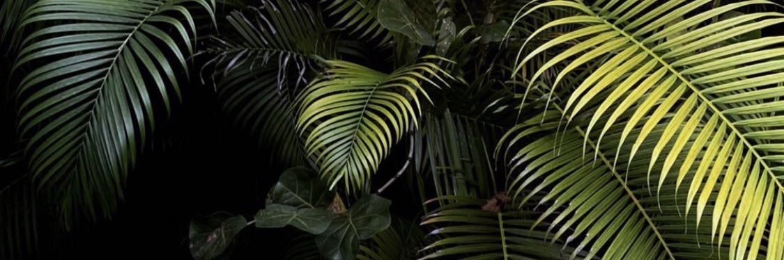 katrin_daron's profile banner image