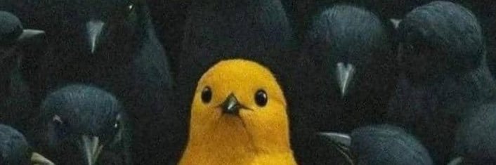 NothingDeyDoWickedPerson banner