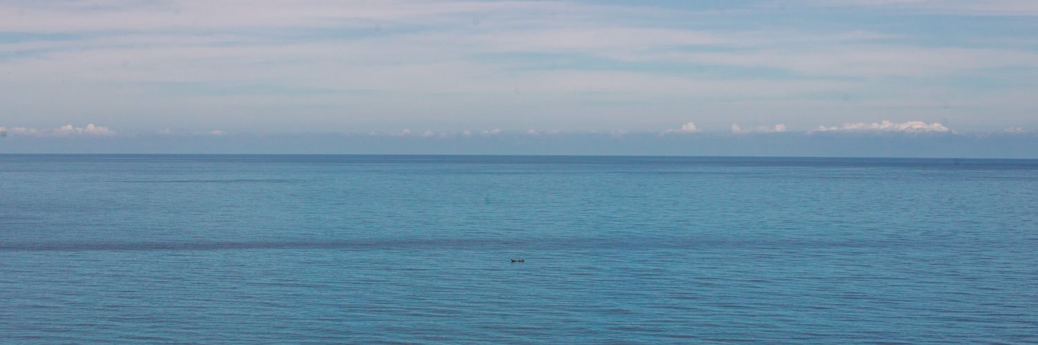 leo16505's profile banner image