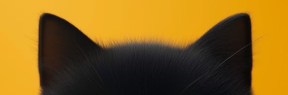 Chat6974's profile banner image