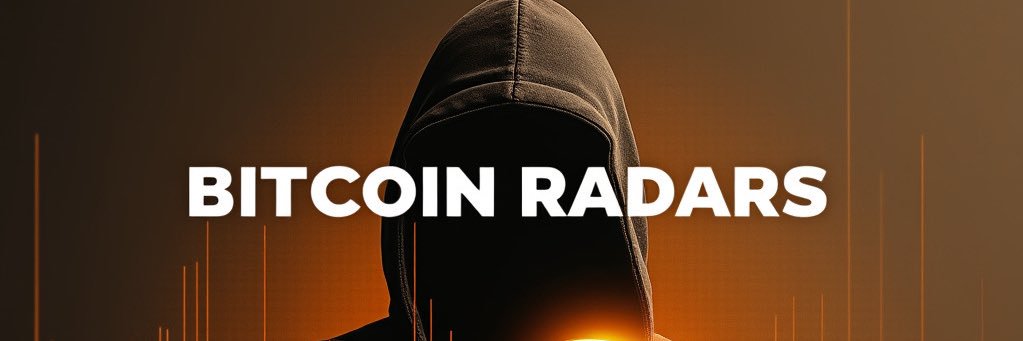 BitcoinRadars's profile banner image