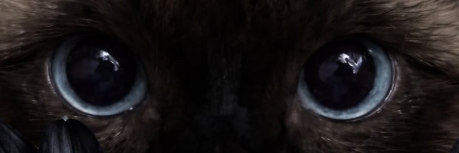 setiix's profile banner image