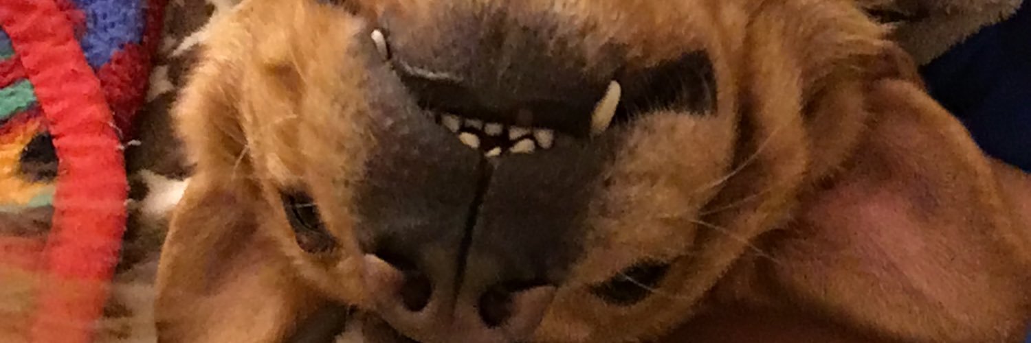 bernonjohn's profile banner image