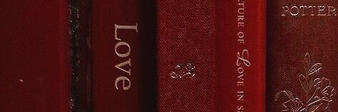 fae 𝜗𝜚 ₍˄·͈༝·͈˄*₎◞ ̑̑ ⛇☃︎ lurkingᵎᵎ banner