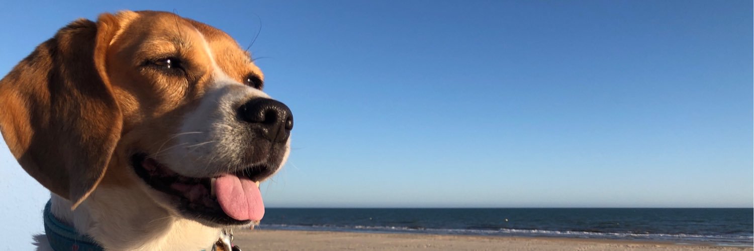 Anits88's profile banner image
