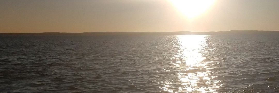 Melli_sc_'s profile banner image