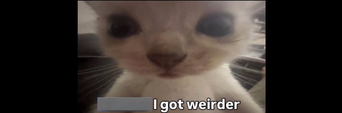 DOKNOEW (kin) banner