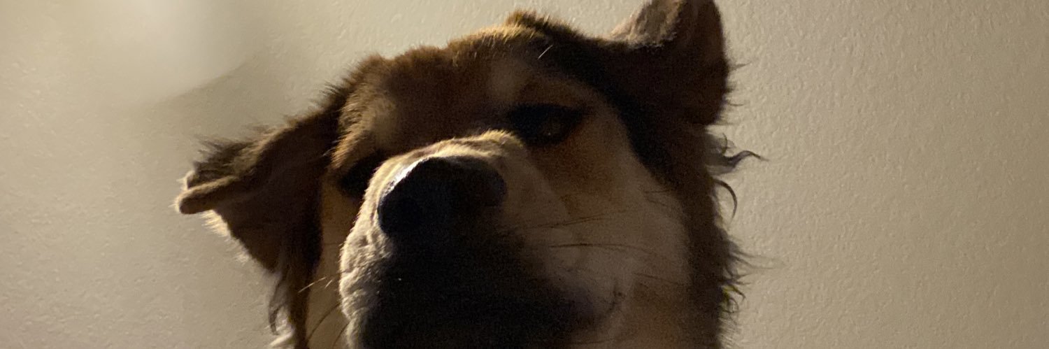 mchirichillo3's profile banner image