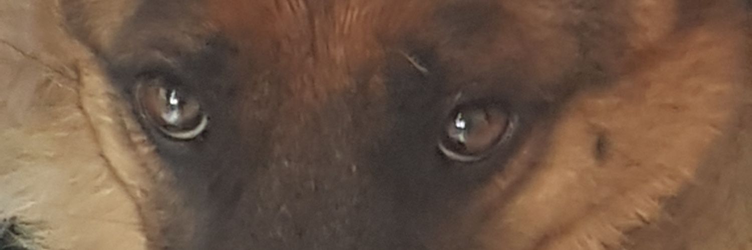 semaseymen's profile banner image