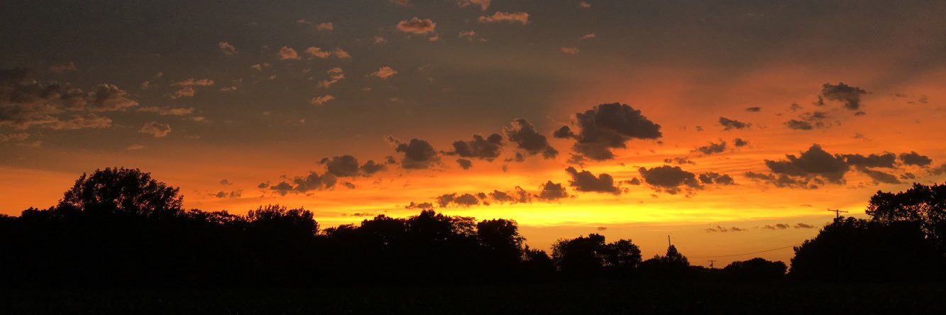 JoySandman's profile banner image