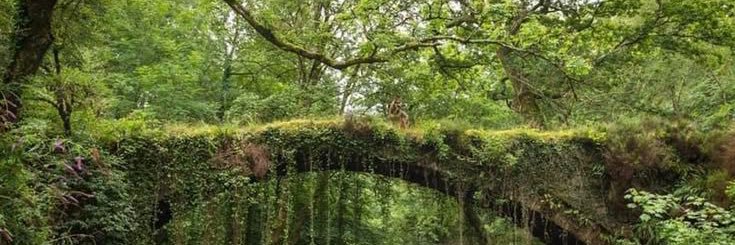 Light ͙͘͡★ banner