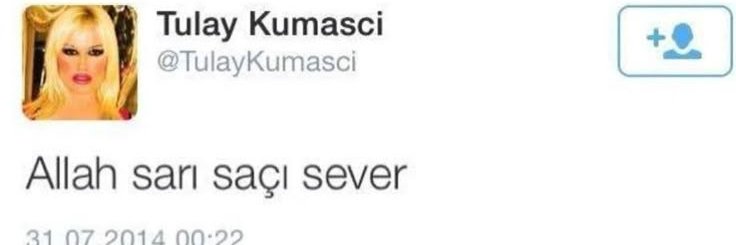 sarisinsevici banner