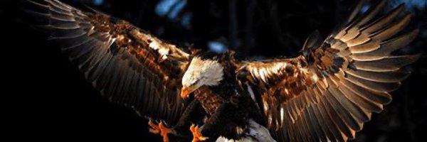 OfSons90168 Profile Banner