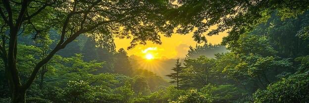 Anas🇨🇩🇵🇸🇸🇴 banner