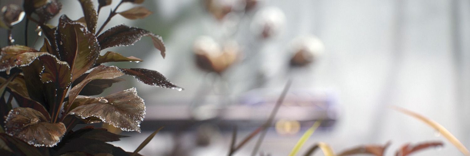 sehunaluvs's profile banner image