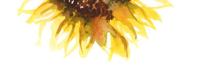 tarynkathy's profile banner image