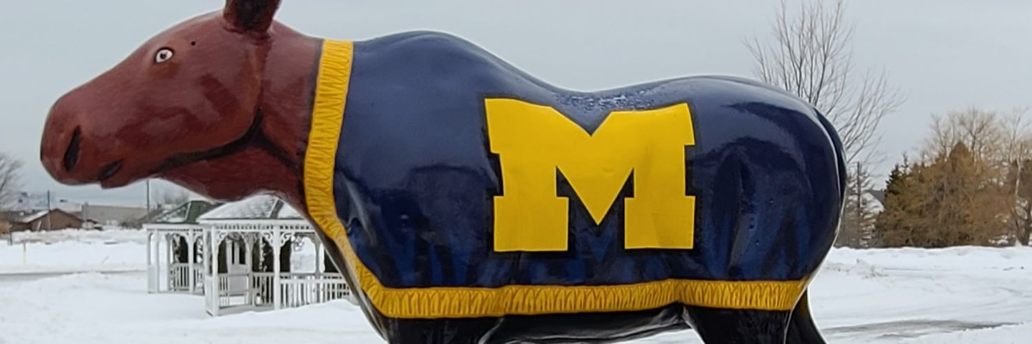 therealjlea's profile banner image